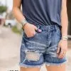 Crazy Train Clothing Denim Dan Shorts -Clothing Women's Clothing/Brgs sales store DenimDanShorts3