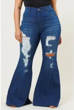 Vibrant MIU Plus Size High Rise Distressed Jeans
